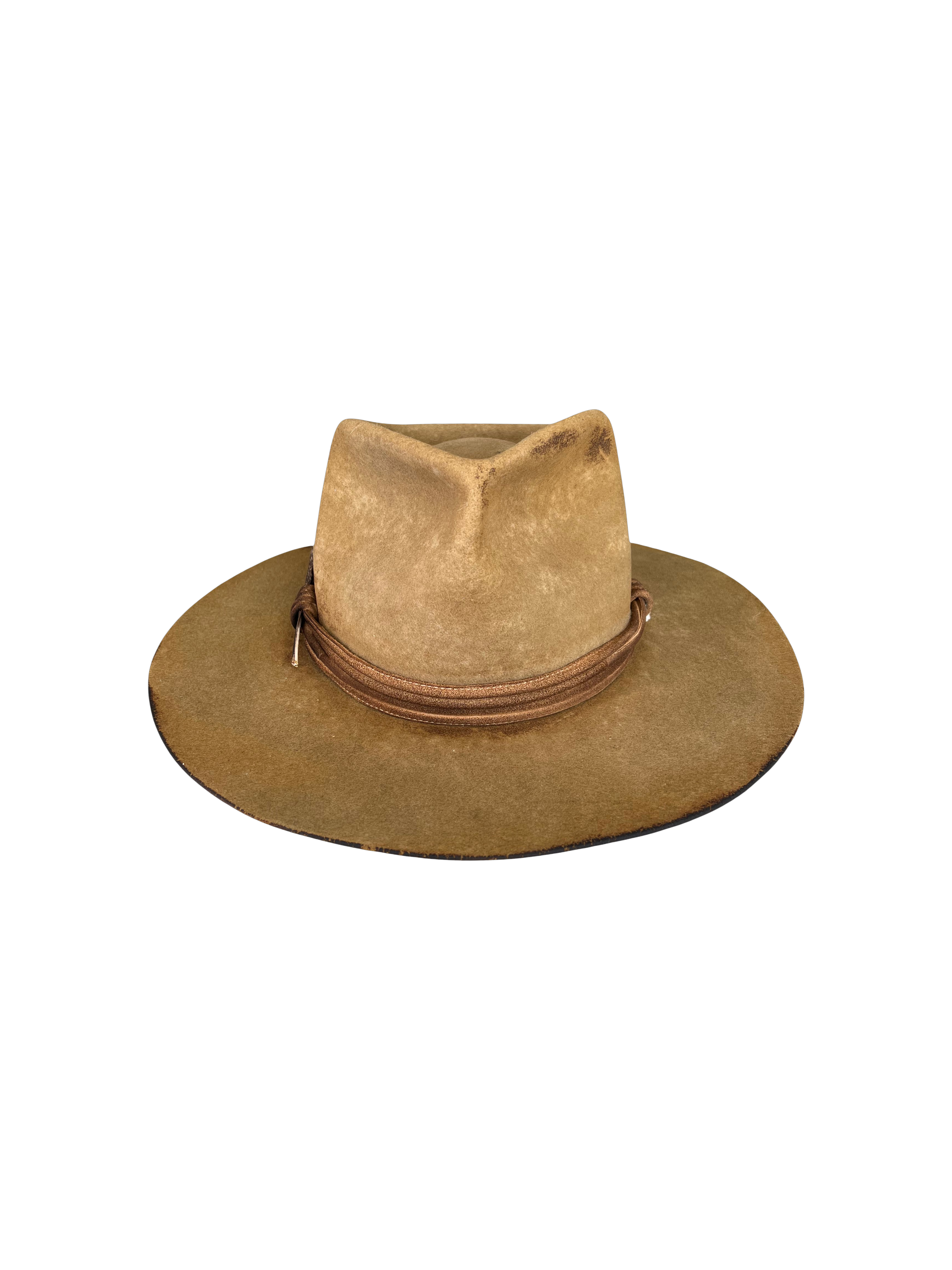 Desert Wanderer