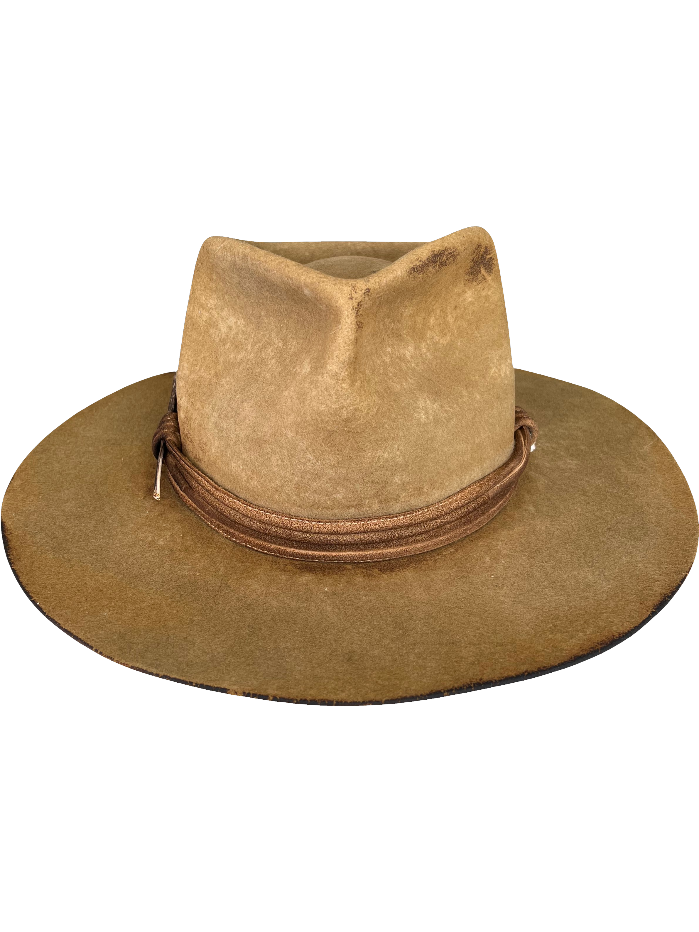 Desert Wanderer